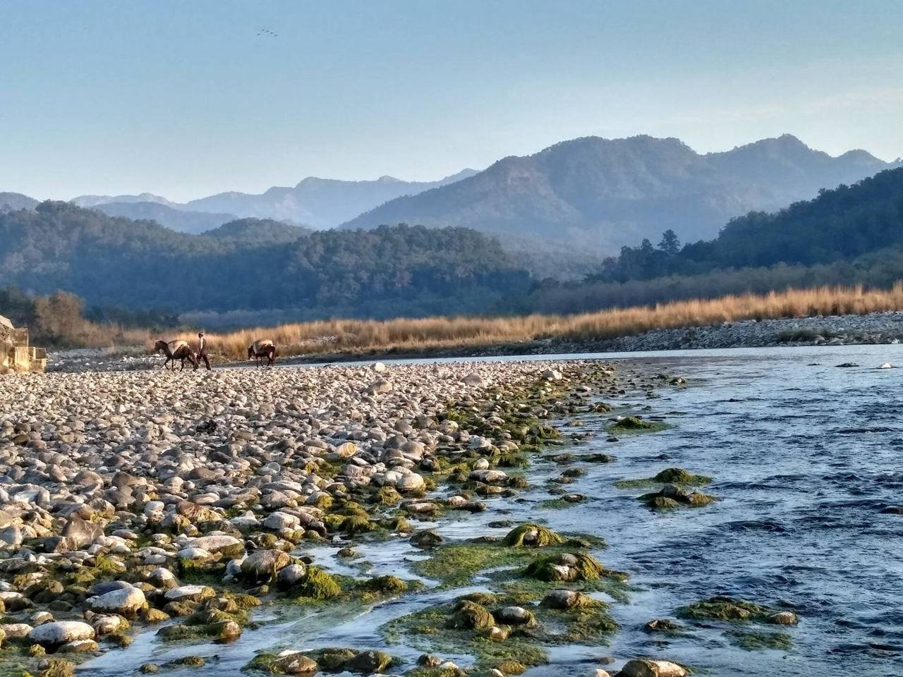 Durga Devi Safari Zone