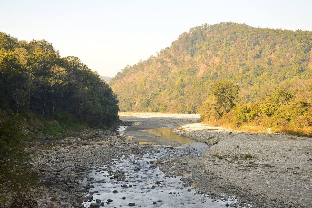Jim Corbett Destination Wedding