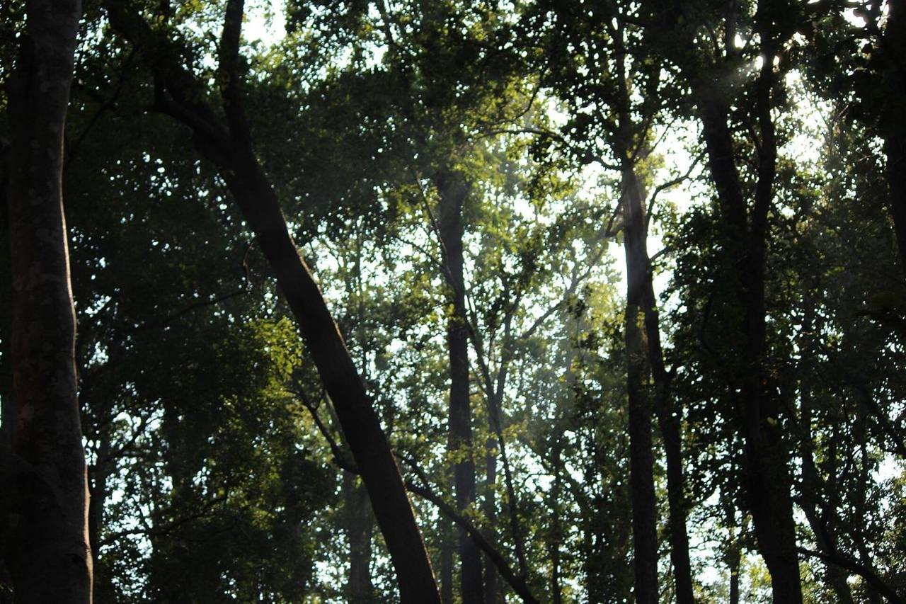 Dhela Safari Zone