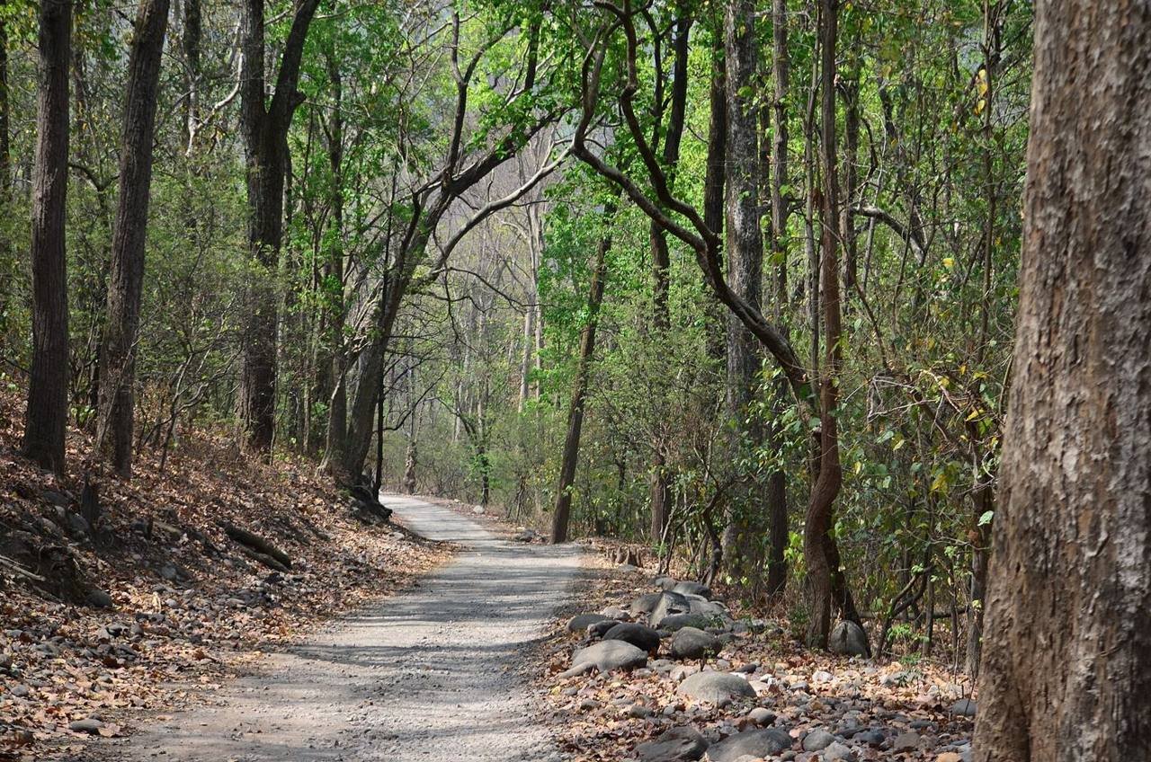 Dhikala Forest Rest House
