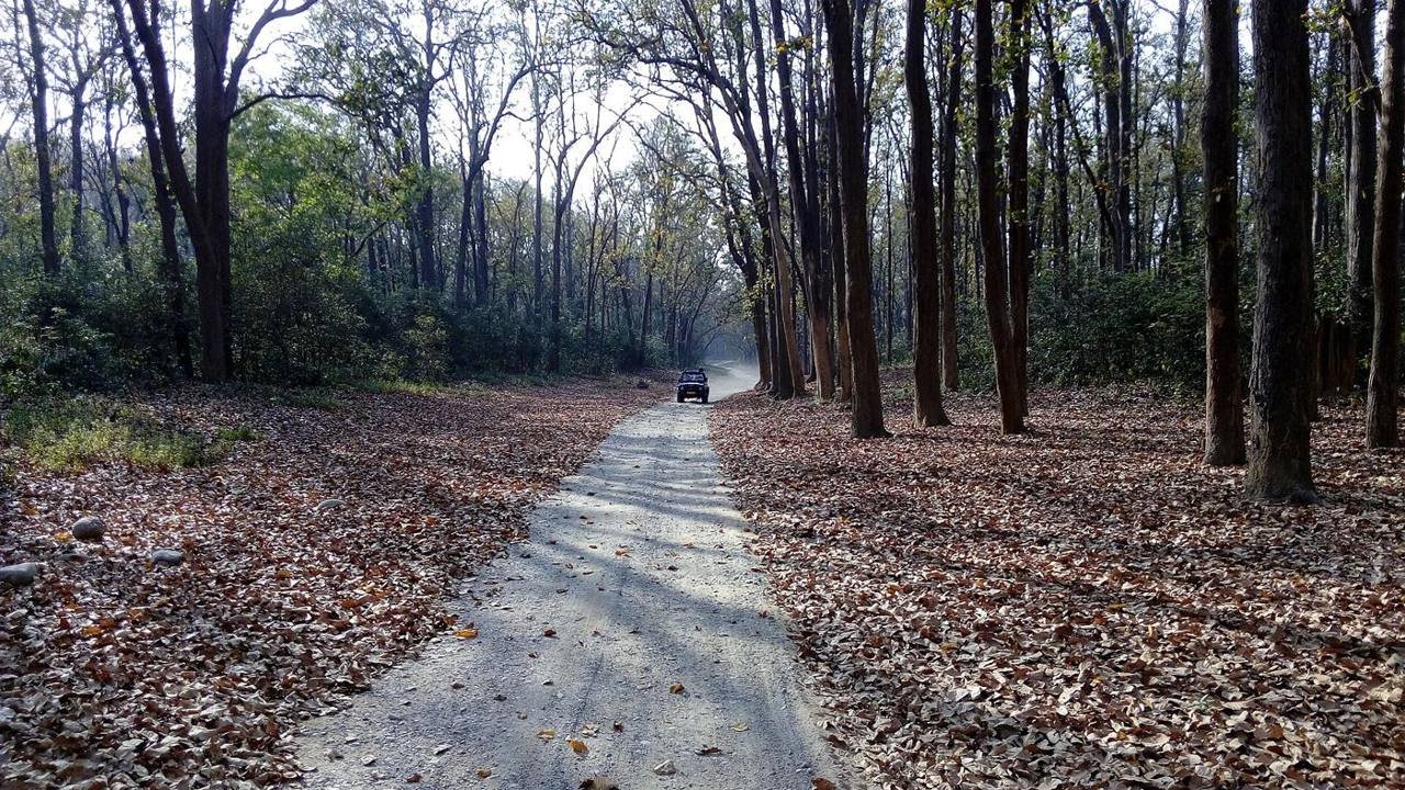 Namah Resort Corbett