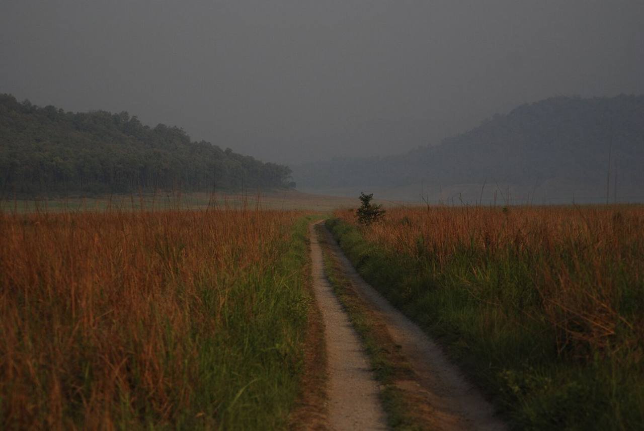 Jhirna Safari Zone