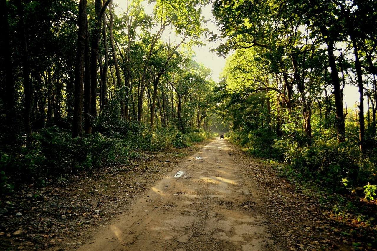 Lemon Tree Premier Corbett