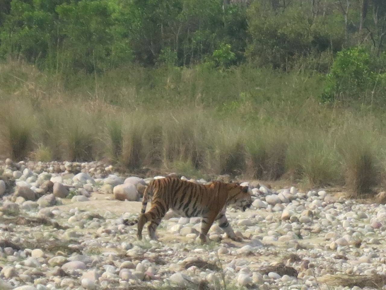 Namah Resort Corbett