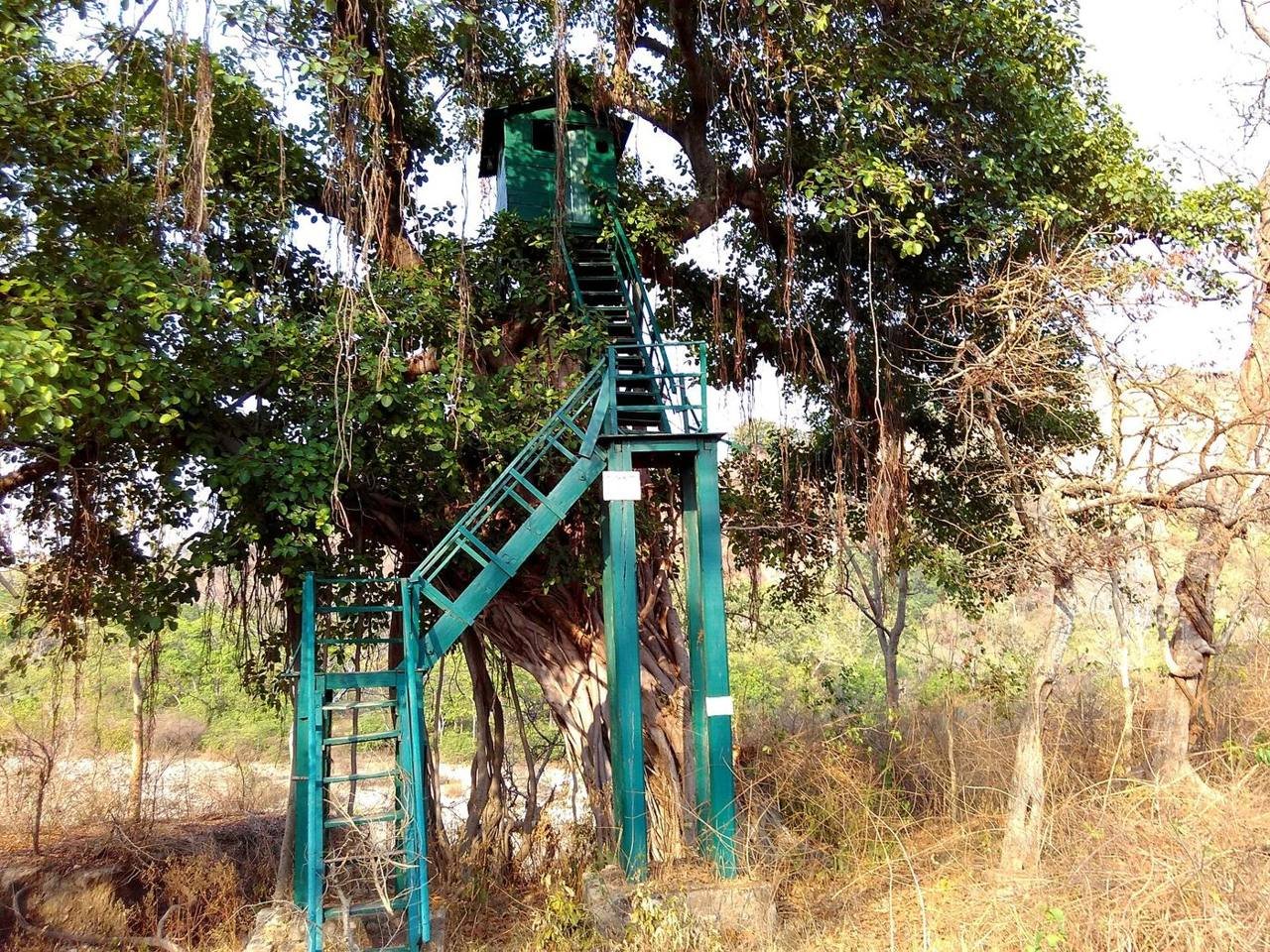 Club Mahindra Corbett