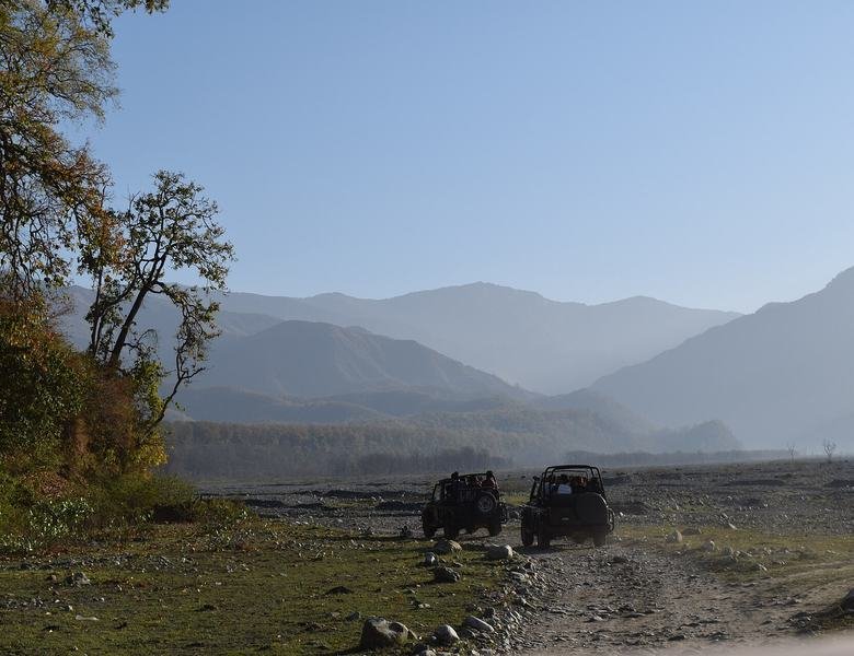 Bird watching in Jhirna